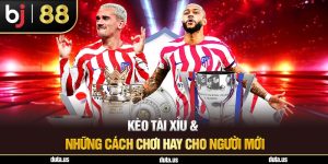 Kèo Tài Xỉu Bj88 & Những Cách Chơi Hay Cho Người Mới