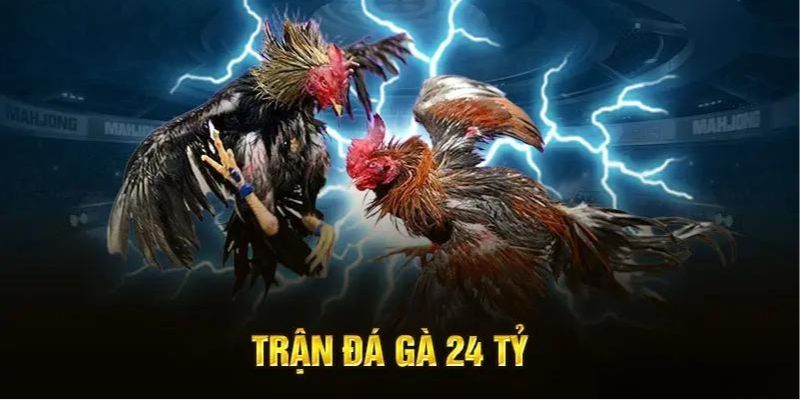 Trận Đá Gà 24 Tỷ - Chi Tiết Về Trận Đấu Huyền Thoại Địa điểm diễn ra trận đá gà 24 tỷ siêu kinh điển
