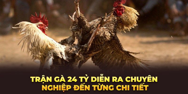 Trận Đá Gà 24 Tỷ - Chi Tiết Về Trận Đấu Huyền Thoại Những thông tin xoay quanh trận đá gà 24 tỷ