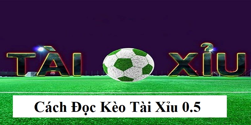 Tài Xỉu Chấp Nửa Trái - Cách Đọc Kèo Chuẩn Xác Nhất Cách tính thắng thua khi bet thủ chọn xỉu