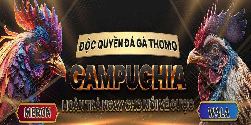 Đá Gà Online Bj88 - Cuộc Chiến Của Các Thần Kê Đầy Hấp Dẫn Những lý do bạn nên chơi đá gà online tại bj88