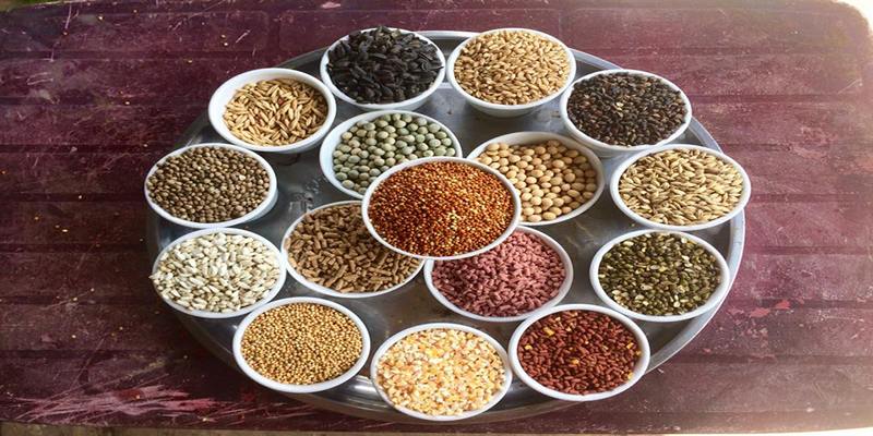 Ngũ Cốc Đá Gà Gồm Những Gì? bj88 Hướng Dẫn Trộn Thức Ăn Hãy bổ sung đầy đủ dinh dưỡng để chiến kê có sức khỏe tốt