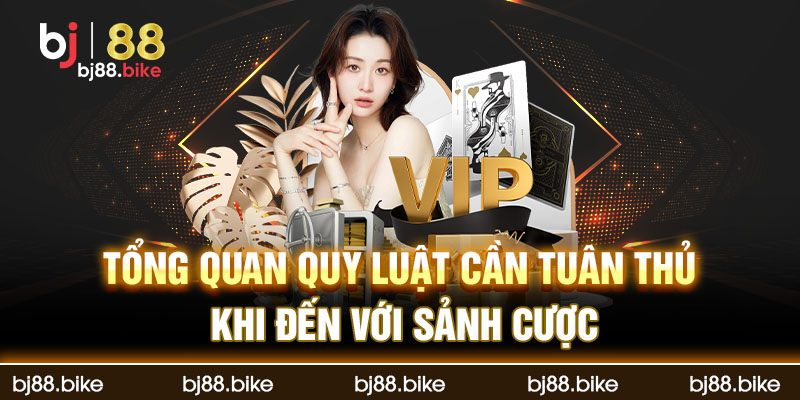 Sảnh Digmaan bj88 Nơi Thoả Mãn Đam Mê Đá Gà Tổng quan quy luật cần tuân thủ khi đến với sảnh cược Digmaan bj88