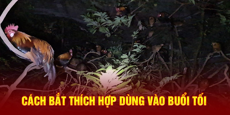 Hướng Dẫn Cách Bắt Gà Đá Không Kêu Từ Kê Sư Chuyên Nghiệp Cách bắt thích hợp dùng vào buổi tối