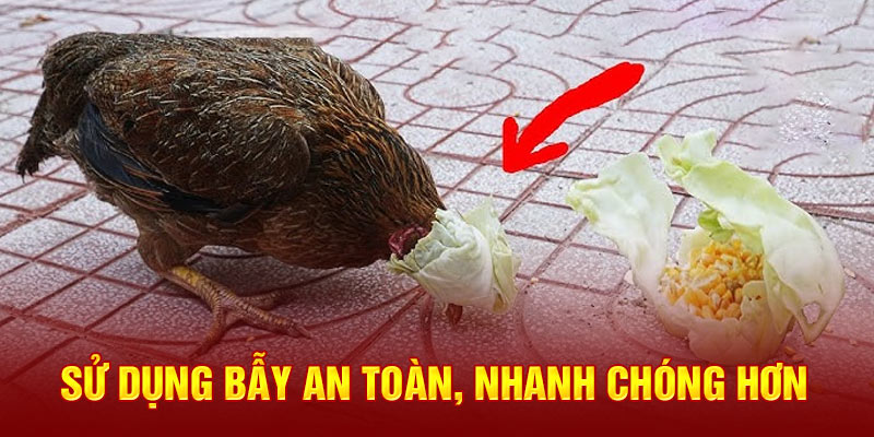 Hướng Dẫn Cách Bắt Gà Đá Không Kêu Từ Kê Sư Chuyên Nghiệp Sử dụng bẫy an toàn, nhanh chóng hơn