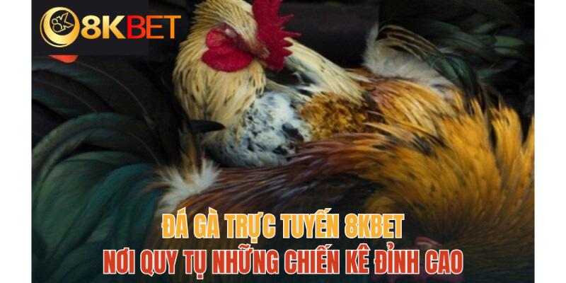 8KBET - Thông Tin Cần Biết Về Thương Hiệu Top 1 Châu Á So tài chiến kê tại trang cược 8KBET
