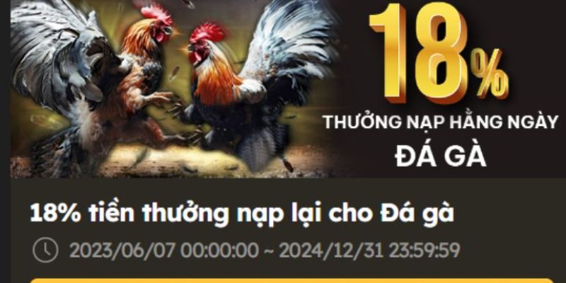 Khuyến Mãi BJ88 – Ngập Tràn, Nhận Ngàn Quà “Khủng” Những khuyến mãi BJ88 dành cho sảnh đá gà