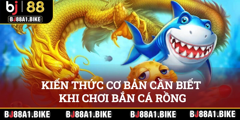 Bắn Cá Rồng Tại bj88 Cơ Hội Làm Giàu Ngay Hôm Nay Kiến thức cơ bản cần biết khi chơi săn cá Rồng